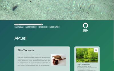 Neue Website Kleinwasserkraft.energy